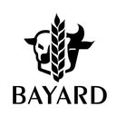 SCEA BAYARD PRODUCTION company logo