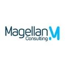 Magellan Consulting company logo