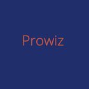 Prowiz Mansystems Pvt Ltd company logo