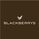 Blackberrys company logo