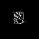 Cirrus Design Corporation company logo
