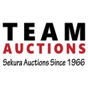 Team Auctions Ltd company logo