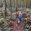 Jack and Gill Childcare and Forest School company logo