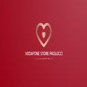 Vodafone Store Paolucci company logo