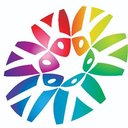 Dutch Flower Group company logo