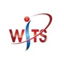 WITS, LLC company logo