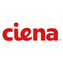 ASIC Engineer (Senior Digital Verification Engineer - FEC) - Ciena ...