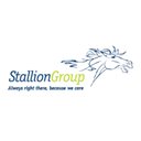 STALLION GROUP company logo