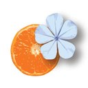 Bleu Tangerine Salon & Day Spa company logo