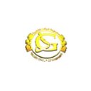 Golden Groups of Companies company logo