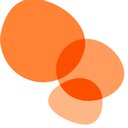 Conquis company logo
