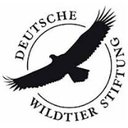 Deutsche Wildtier Stiftung company logo