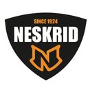 Neskrid 4Allfeet BV company logo