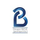 Grupo BCA Agente de Seguros S.A de C.V company logo