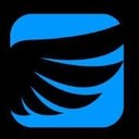 SangVish Technologies company logo