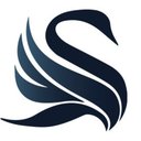 SWAN Capital company logo