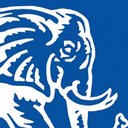 The Pink Elephant company logo