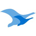 Flock Canadian Medical Travel Alliance company logo
