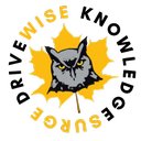 DriveWise &amp; KnowledgeSurge Institute company logo
