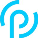 paricon AG company logo