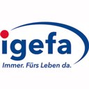 IGEFA company logo