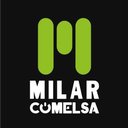 COMELSA company logo