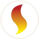 Consilium Software Inc. company logo