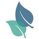 Family Dental Choice company logo
