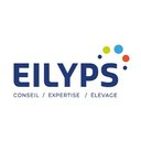 Eilyps company logo