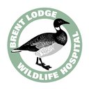 Brent Lodge Wildlife Hospital company logo