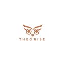 Theorise Ltd company logo