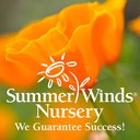 SummerWinds Nursery company logo