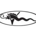 Viking Yacht Company company logo