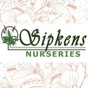 Sipkens Nurseries Ltd. company logo