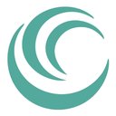Danuvial Service Solutions company logo