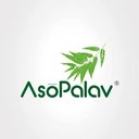 Asopalav company logo
