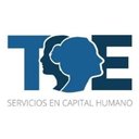 Talento Estrategico company logo
