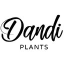 Dandi Plants company logo