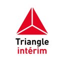Triangle Solutions company logo