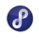 Premier Pain & Spine company logo