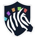 Punk Security Ltd. company logo
