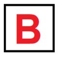 Bozok Group B.V. company logo