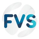 FVS Entertainment company logo