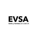 ESTILO Y VANIDAD SA DE CV company logo