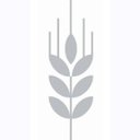 Corn Exchange Newbury company logo