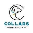 Collars Dog Resort company logo