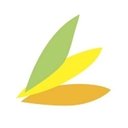 Element Care company logo