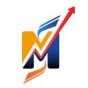 Meinstyn Solutions company logo