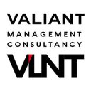 株式会社Valiant company logo