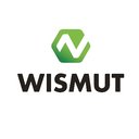 Wismut GmbH company logo